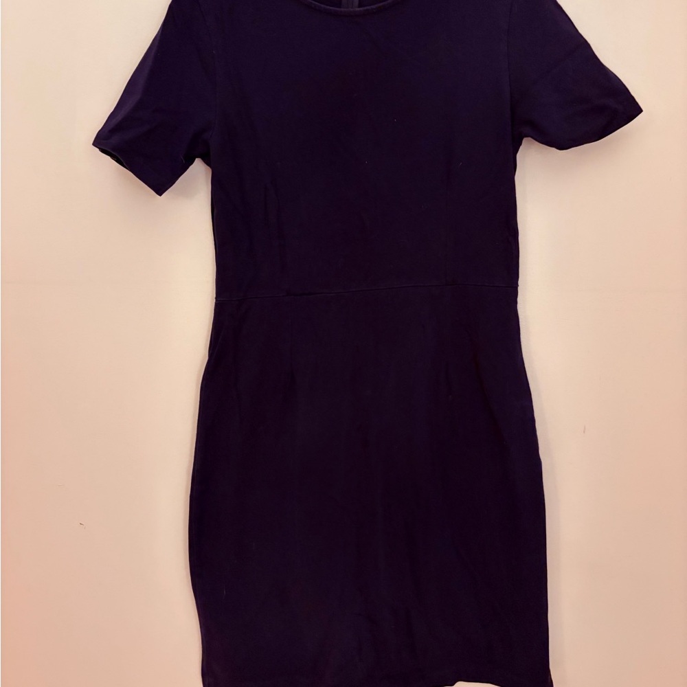 J. Crew Navy Mini Dress